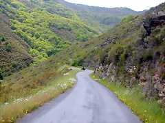 DSCN2954 DSCN2954