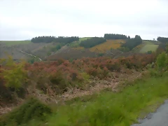 DSCN2857 DSCN2857