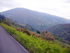 DSCN3066 DSCN3066