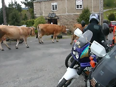 DSCN2919 DSCN2919