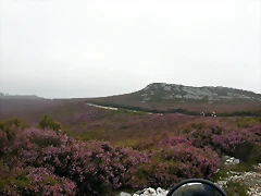 DSCN3052 DSCN3052