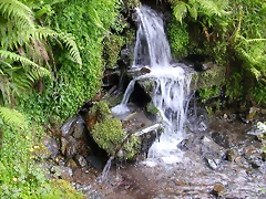 DSCN3071 DSCN3071