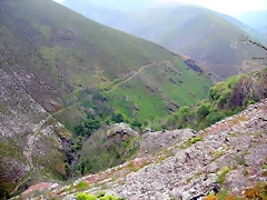 DSCN3088 DSCN3088