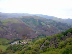 DSCN2867 DSCN2867