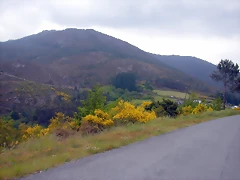 DSCN3018 DSCN3018