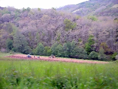 DSCN2874 DSCN2874