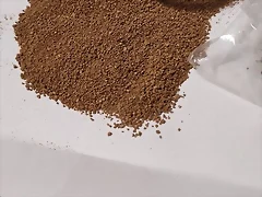 f01 f01