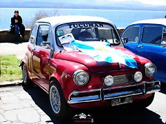 CAS_3969 CAS_3969