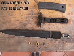 6137d7b717e81295861384aa8be1216co