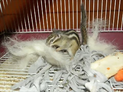 qwef