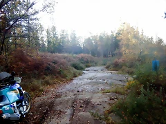 DSCN8959 DSCN8959