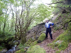 DSCN1382 DSCN1382