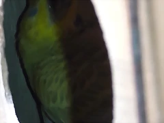 20170516_132425 20170516_132425