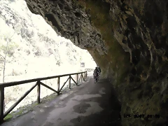R0012413 R0012413