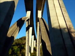 DSCN0215 DSCN0215