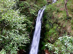 DSCN3776 DSCN3776