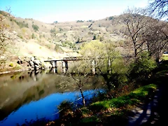 DSCN5157 DSCN5157