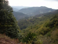 DSCN9288 DSCN9288