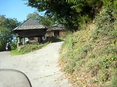IMG_0617 IMG_0617