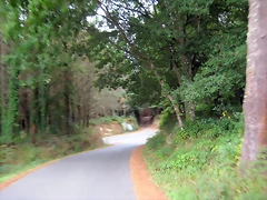 IMG_0419 IMG_0419