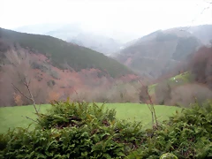 DSCN2798 DSCN2798