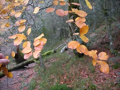 DSCN0695 DSCN0695