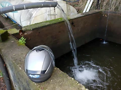 DSCN0537 DSCN0537