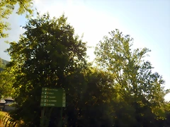DSCN9268 DSCN9268