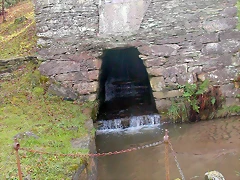 DSCN7313