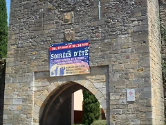 SAM_3426