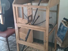 IMAG0027