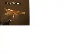 ultrashrimp