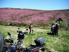 DSCF2552 DSCF2552