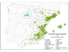 map_Pinus_halepensis_tcm7-285926