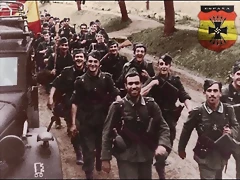 blau_division blau_division