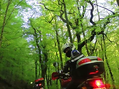 025-IMG_5984 025-IMG_5984