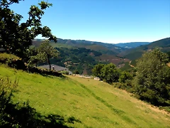 DSCN3923 DSCN3923