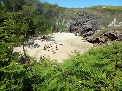 DSCN7139 DSCN7139