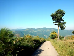 DSCN4728 DSCN4728
