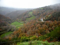 DSCN0973 DSCN0973
