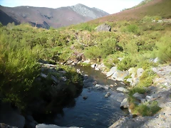 DSCN5124 DSCN5124