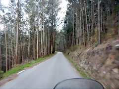 DSCN9581 DSCN9581