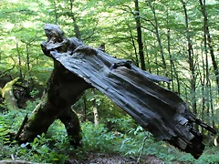 IMG_7159 IMG_7159