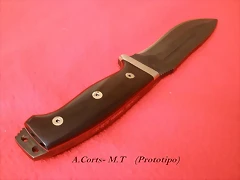 mt-corts 9