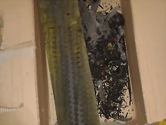 20130823_112000 20130823_112000