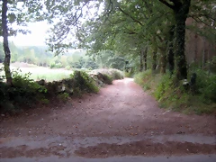 IMG_0403 IMG_0403