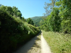 DSCN4804 DSCN4804