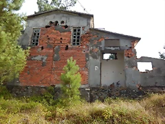 DSCN0110