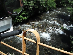 DSCF2598 DSCF2598
