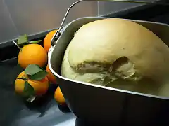 Brioche de naranja 009